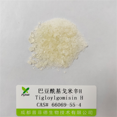巴豆?；昝仔罤|66069-55-4