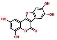 普菲德專題產(chǎn)品推薦-墨旱蓮系列(圖5)