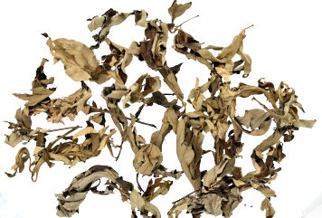  普菲德專(zhuān)題產(chǎn)品推薦-艾葉系列